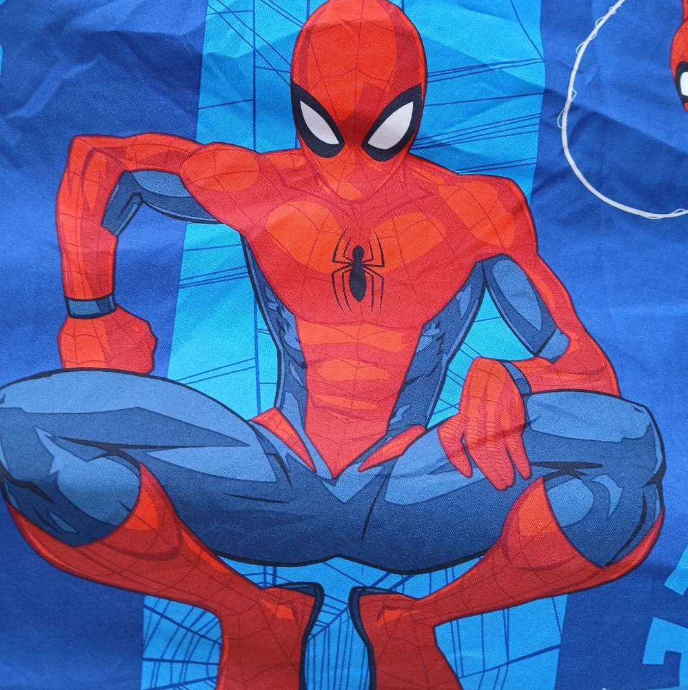 Spider-Man Shower Curtain